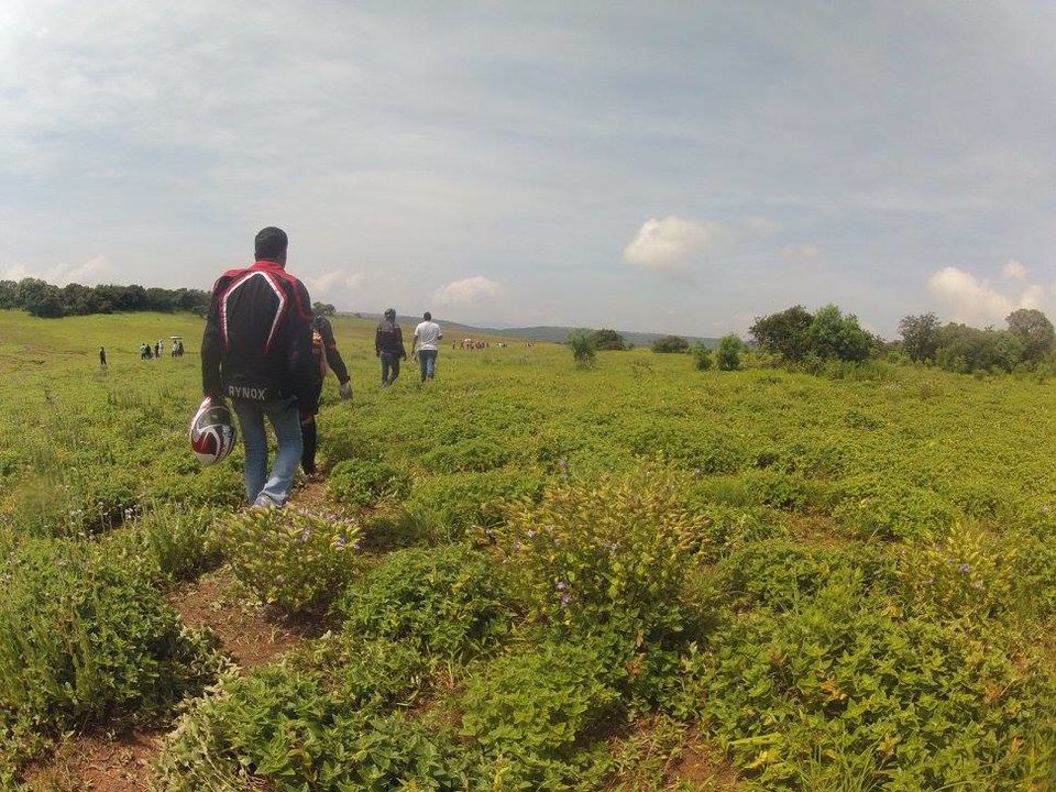 Photo of Kaas Plateau – The Valley of Flowers 16/16 by TwoWheelsManiac