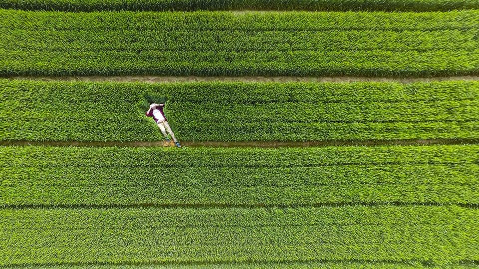 Photo of 15 Best Drone Photographs From Around The World 7/15 by Disha Kapkoti