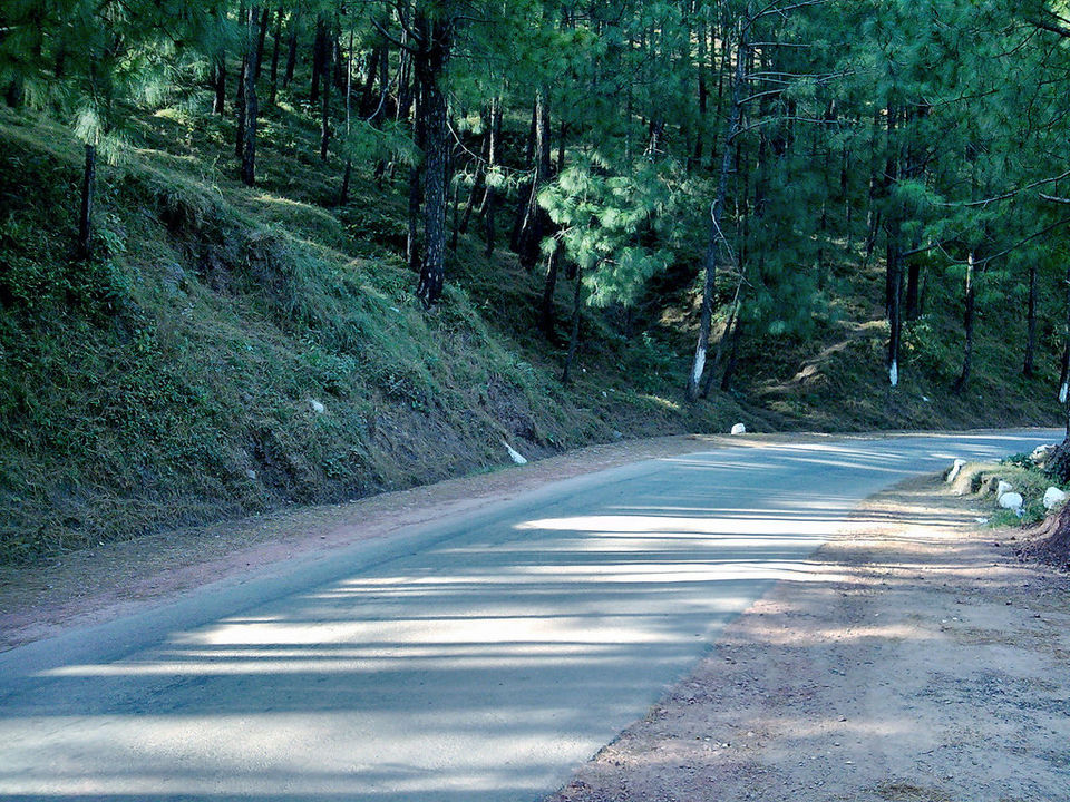 Photo of What makes Kasauli a perfect weekend spot? 4/4 by Kirat S