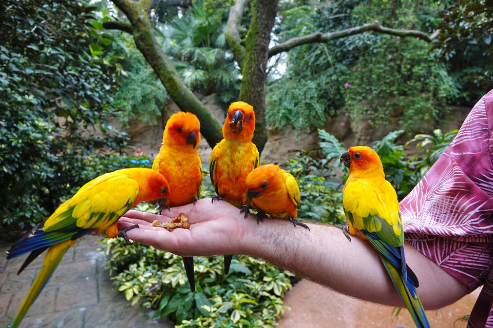 Photo of Best Theme Parks I Have Been To Around The World 20/31 by Pratik Goel