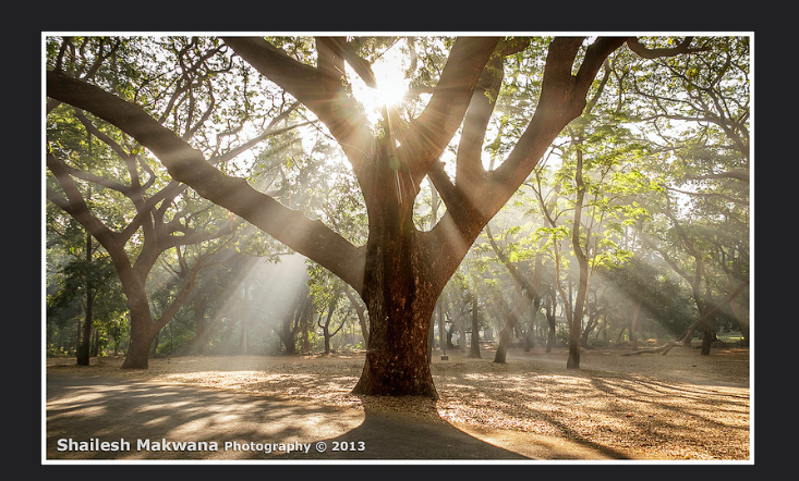 Photo of Peace out in Mumbai: Peaceful Pockets 2/5 by Arushi Dutt