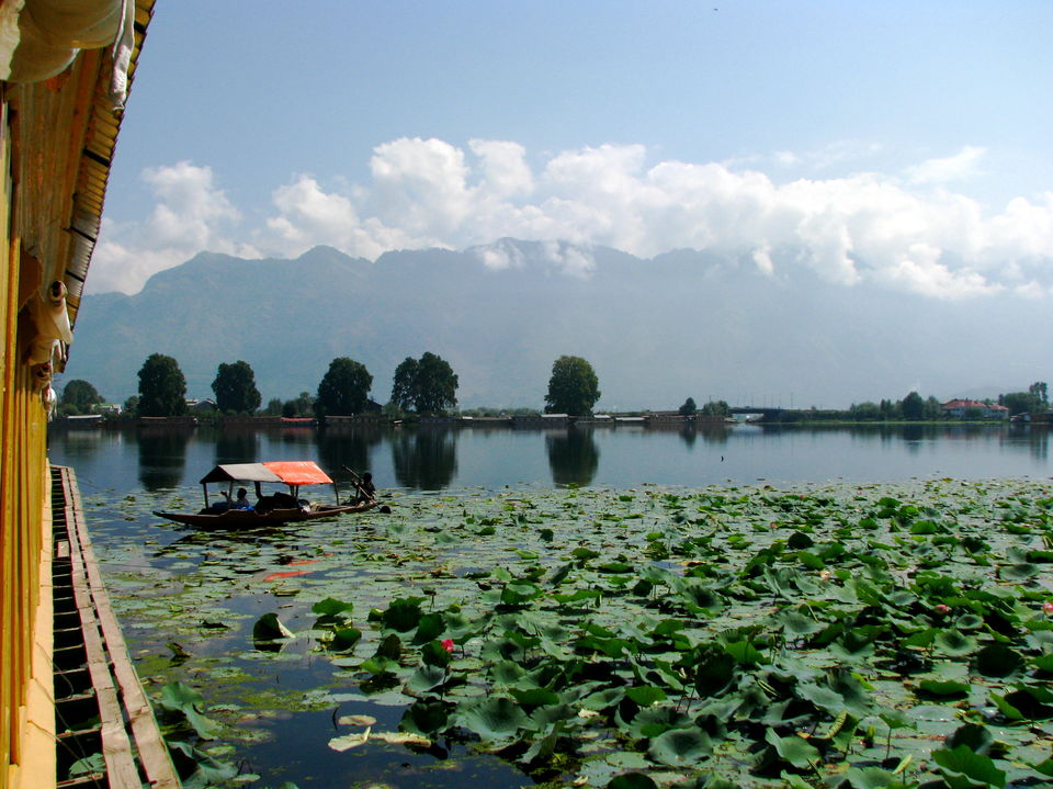 Photo of This is how Srinagar won my heart! 2/5 by Kirat S