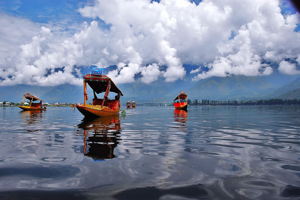Photo of This is how Srinagar won my heart! 5/5 by Kirat S