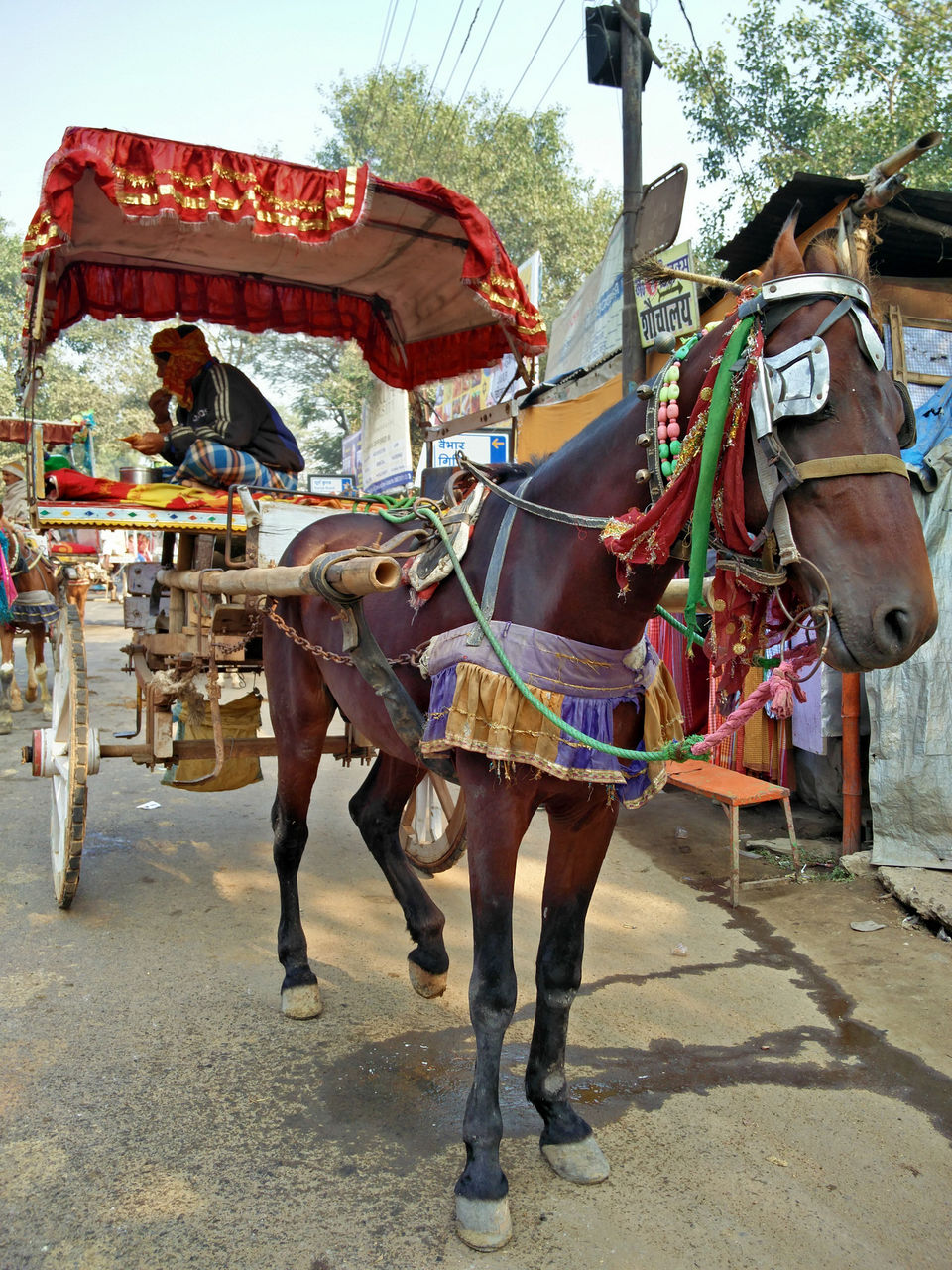 Photo of Bihar – Why not? 15/39 by Vikas Singh