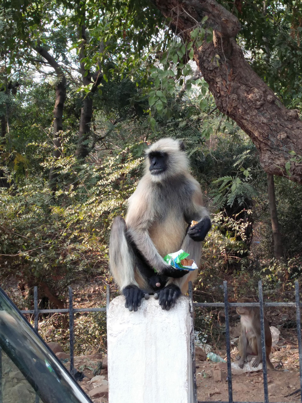 Photo of Bihar – Why not? 20/39 by Vikas Singh