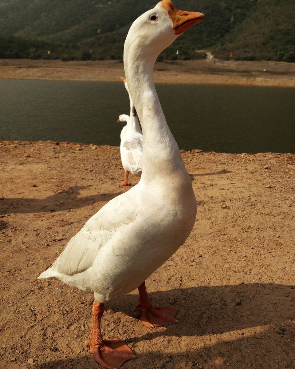 Photo of Bihar – Why not? 24/39 by Vikas Singh