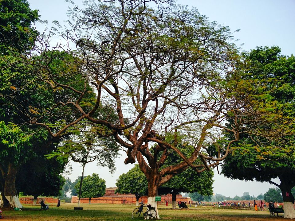 Photo of Bihar – Why not? 38/39 by Vikas Singh