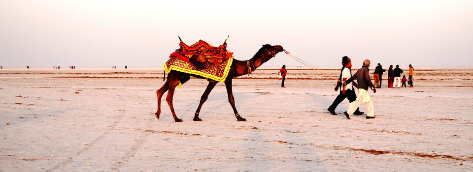 Photo of 9 Places You Should Never miss Visiting In India, Before You Turn Thirty 3/9 by Vishnu Nair