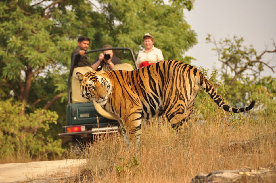 Photo of 9 Places You Should Never miss Visiting In India, Before You Turn Thirty 4/9 by Vishnu Nair