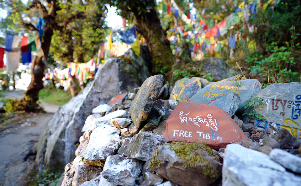 Photo of Mcleodganj: The Untold Story of Every Tibetan Refugee by Trisha Singh