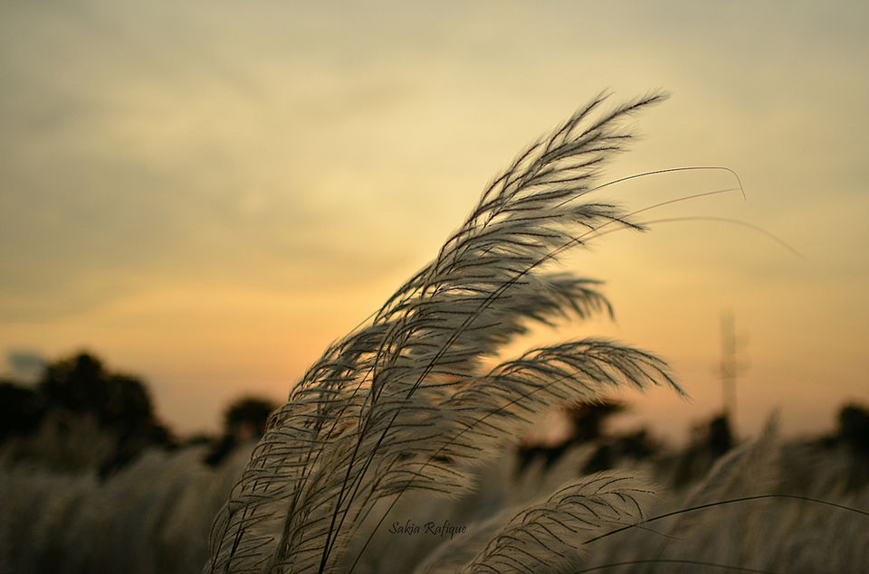 Photo of These Pictures Prove Why Bangladesh Should Be Your Next International Destination! 2/14 by Sreshti Verma