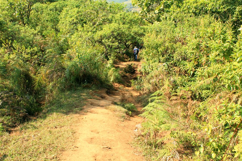 Photo of A Day Of Sheer Adventure: Kudremukh Trek 7/19 by Monali Monalisa