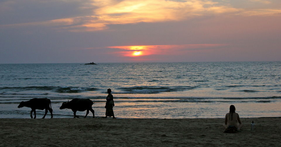 Photo of Tripoto Editors Pick The Most Popular Solo Destinations of 2015 8/9 by Sreshti Verma