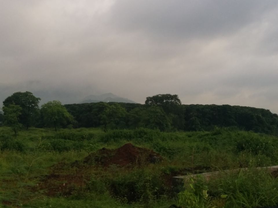 Photo of Love at first sight: Matheran 4/19 by Vineet Jain
