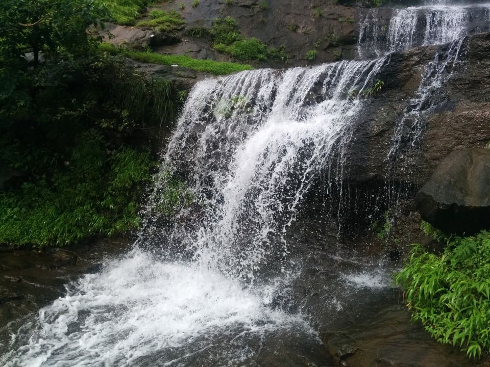 Photo of Love at first sight: Matheran 7/19 by Vineet Jain