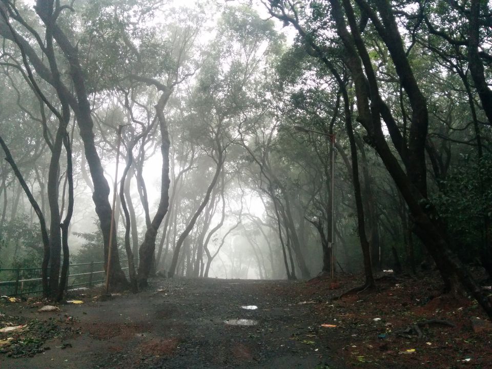 Photo of Love at first sight: Matheran 8/19 by Vineet Jain