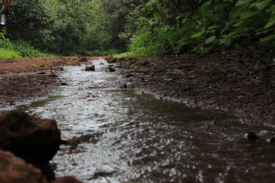 Photo of Love at first sight: Matheran 14/19 by Vineet Jain