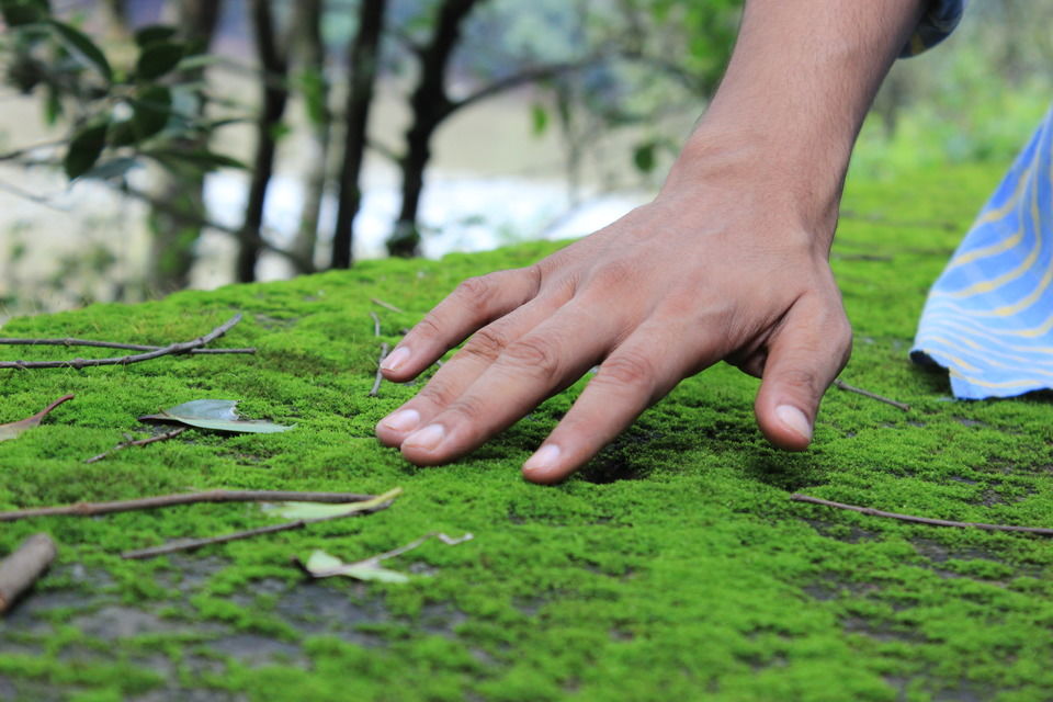 Photo of Love at first sight: Matheran 16/19 by Vineet Jain