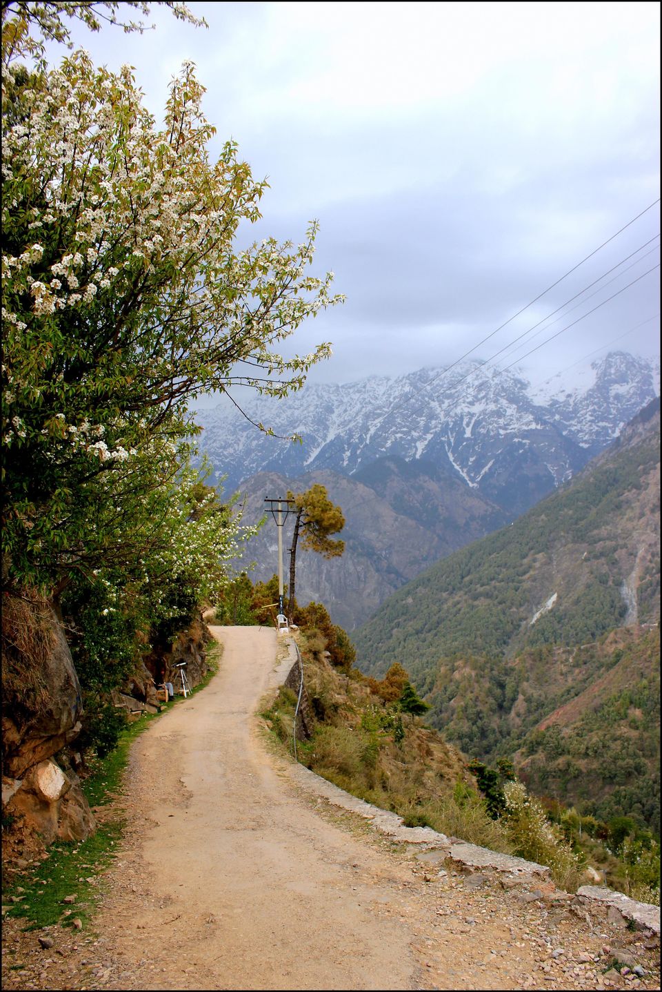Photo of Little Lhasa Expedition Ride 124/150 by Rahul Arora