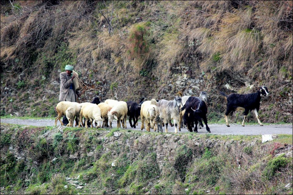 Photo of Little Lhasa Expedition Ride 136/150 by Rahul Arora