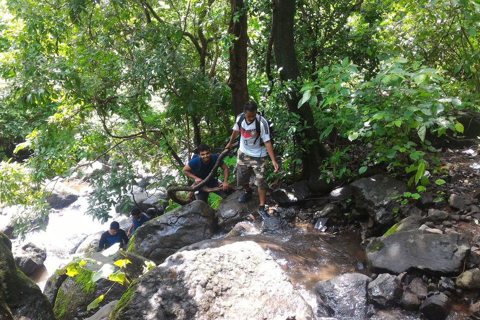 Photo of Monsoon Trail To Mahuli Fort 19/23 by ExploGraphr