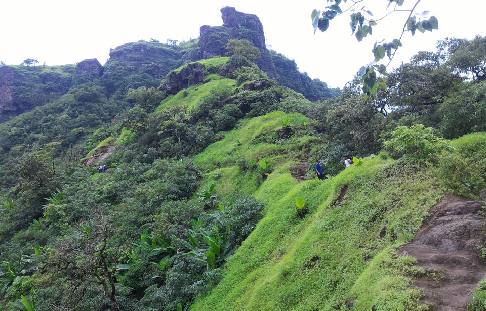Photo of Monsoon Trail To Mahuli Fort 20/23 by ExploGraphr