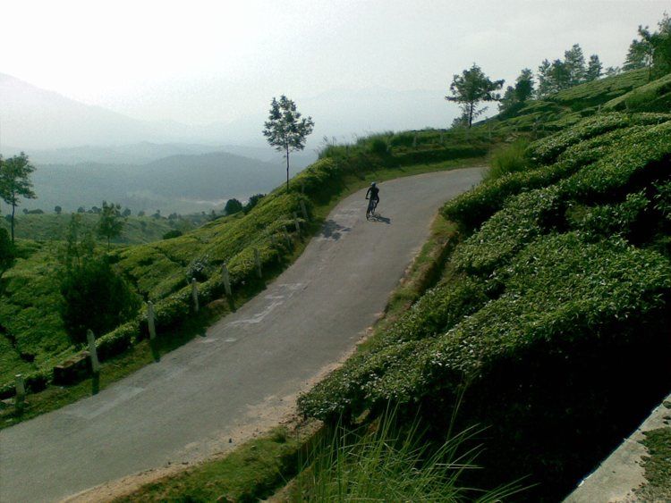 Photo of 7 Best Places in India Where our Grandparents can recreate the memories again! 7/8 by Priti Raman Vishwakarma