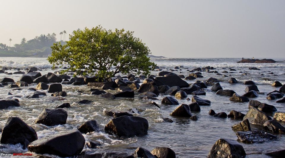 Photo of South Goa ---Best Destination For Honeymoon 22/22 by Ridhima Srivastava