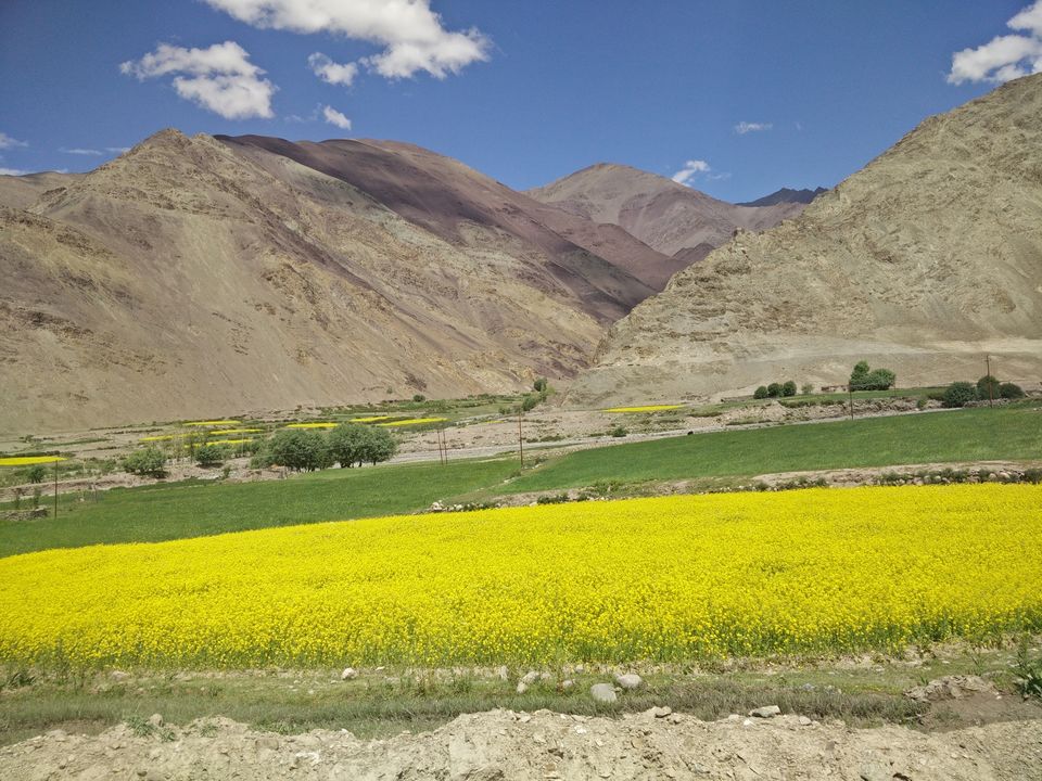 Photo of 1 Beast, 3 Wanderers, 5 States, 11 Days, 3200 Kilometres, ∞ experiences – Leh'd in India! 63/78 by Jaswanth Jagadeesh Insta: #jaswantravels