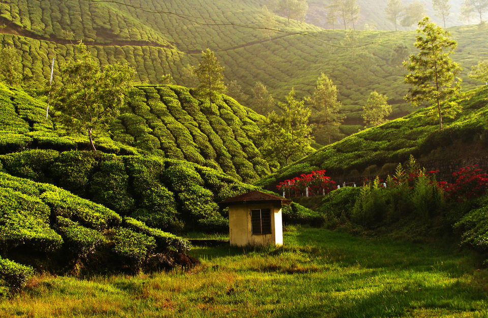 Photo of 11 Kerala Photographs That Prove You Haven’t Seen Real Beauty If You’ve Never Been To Kerala 3/11 by Gunjan Upreti