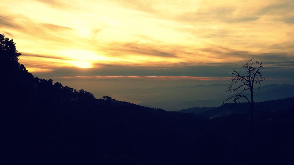 Photo of I've Lost Myself Somewhere In The Middle Of Nowhere 10/14 by Kamakshi Pal