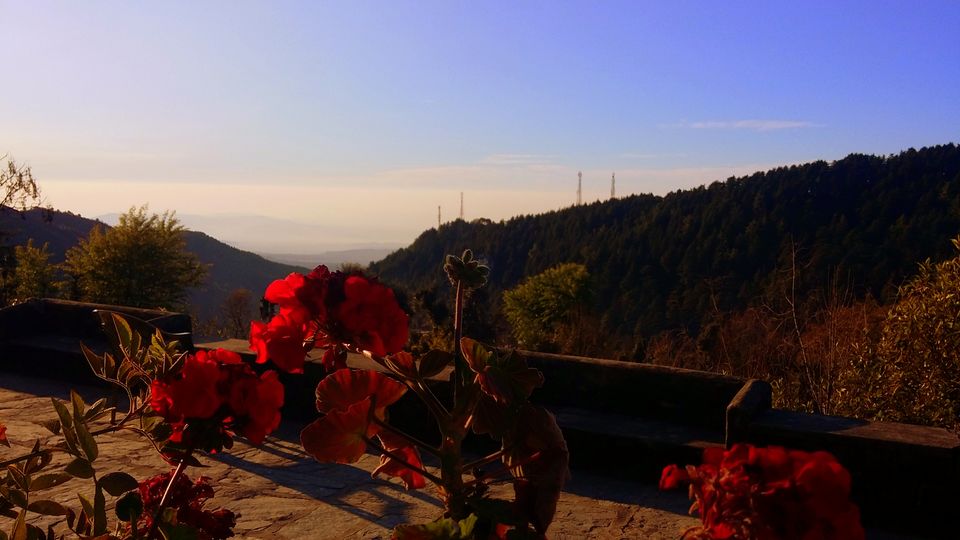Photo of I've Lost Myself Somewhere In The Middle Of Nowhere 11/14 by Kamakshi Pal