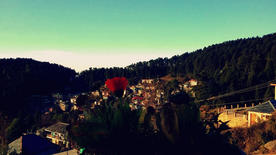 Photo of I've Lost Myself Somewhere In The Middle Of Nowhere 13/14 by Kamakshi Pal
