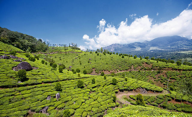 Photo of 11 Kerala Photographs That Prove You Haven’t Seen Real Beauty If You’ve Never Been To Kerala 11/11 by Gunjan Upreti