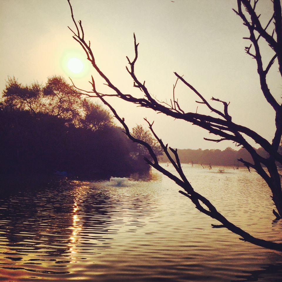 Photo of Delhi, Oh Delhi 4/13 by Abhishek Khanna