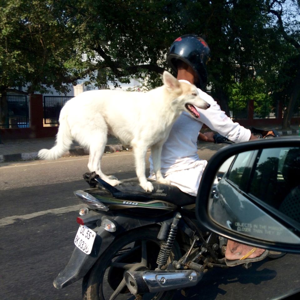 Photo of Delhi, Oh Delhi 9/13 by Abhishek Khanna