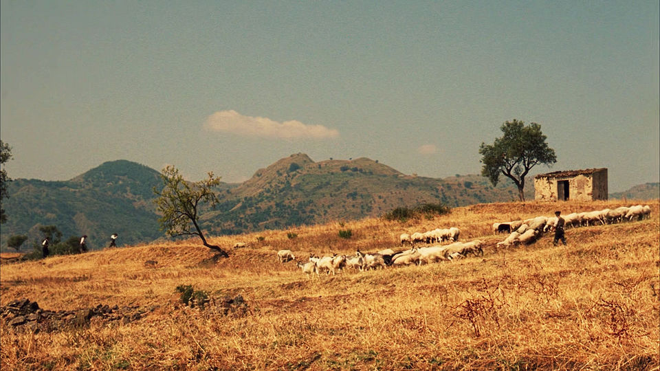 Photo of The Godfather’s Trail: From Picturesque Sicily To Glitzy Vegas 16/31 by Shivendra Singh