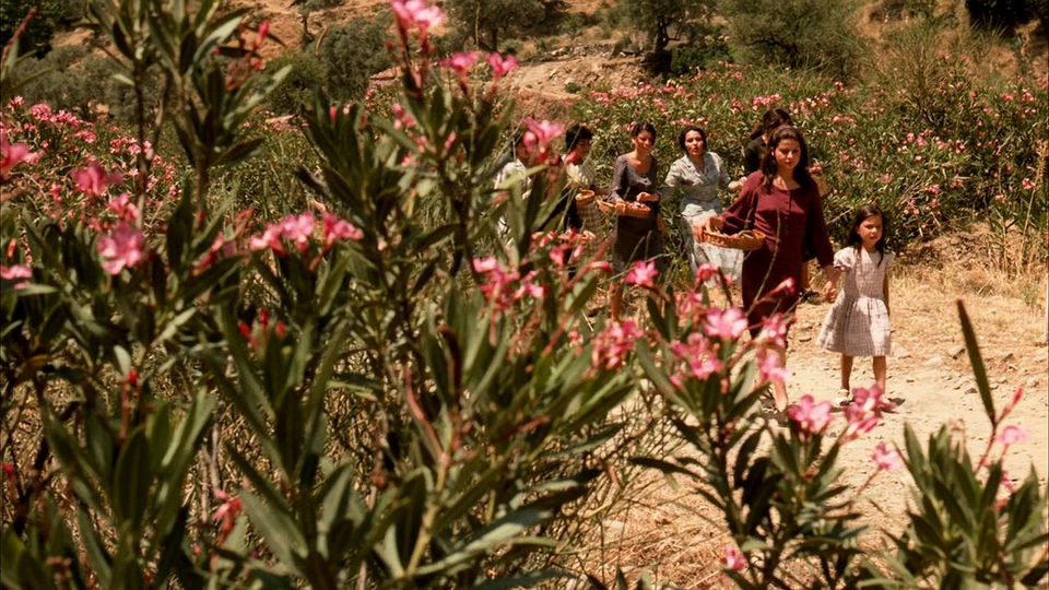 Photo of The Godfather’s Trail: From Picturesque Sicily To Glitzy Vegas 18/31 by Shivendra Singh