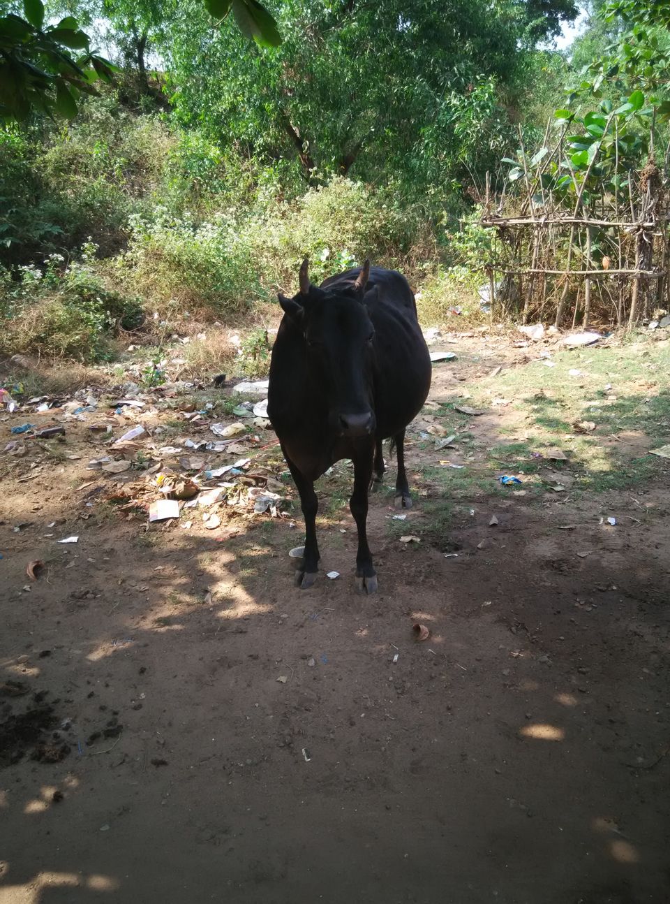 Photo of Heard of Karwar, Anyone? 39/54 by Shruti Rane Gupta