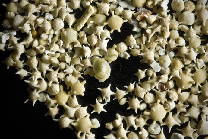 Photo of 10 Of The Most Unusual Beaches In the World 3/21 by Priyam Bagga