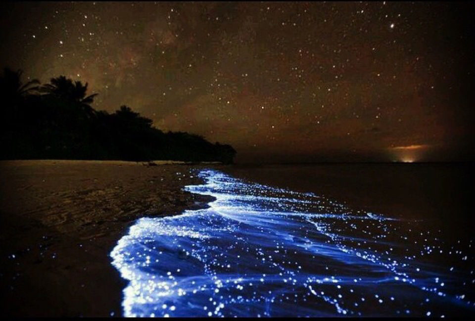 Photo of 10 Of The Most Unusual Beaches In the World 8/21 by Priyam Bagga