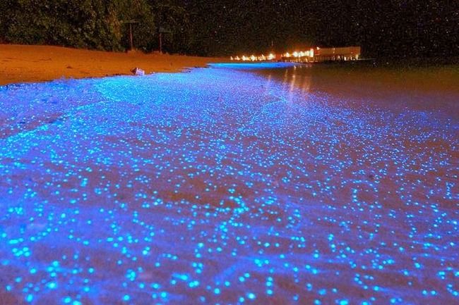 Photo of 10 Of The Most Unusual Beaches In the World 9/21 by Priyam Bagga