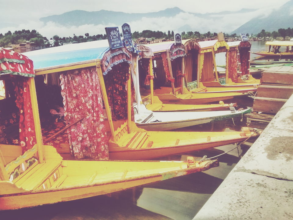 Photo of How to Heal Yourself: 5 Revelations on the Road to Ladakh 2/8 by Bidisha Dutta