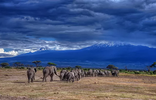 Photo of Kenya by Gunjan Upreti