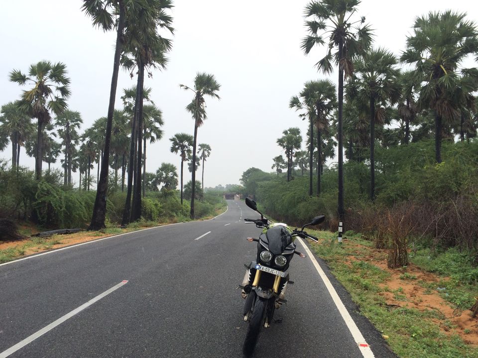 Photo of East to West Coastal Bike Trail 87/118 by Jesudas Antonyraj(MilesToGoo)