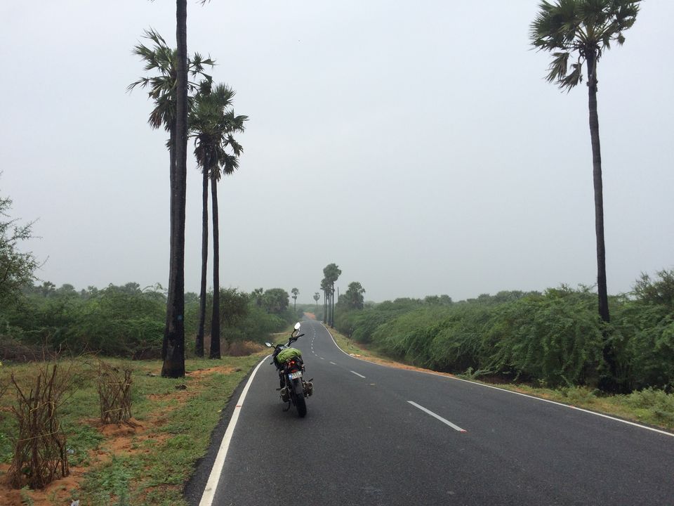 Photo of East to West Coastal Bike Trail 88/118 by Jesudas Antonyraj(MilesToGoo)