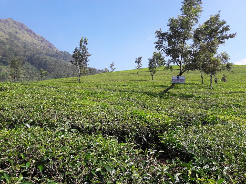 Photo of Road Trip Through God's Own Country 3/6 by Ketan