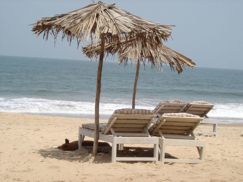 Photo of Things To Do In Goa To Indulge In The Thrill Of Sunshine And Luxury (7 D / 6 N) 2/19 by Tripoto