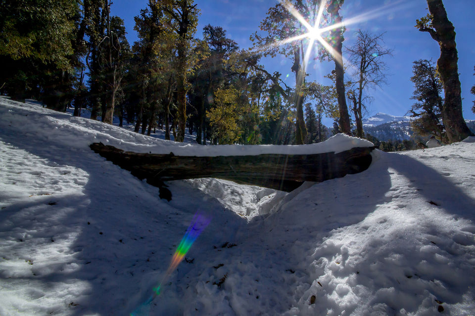 Photo of Here's Everything You Need to Know About The Kedarkantha Trek in Winter 1/10 by Sreshti Verma