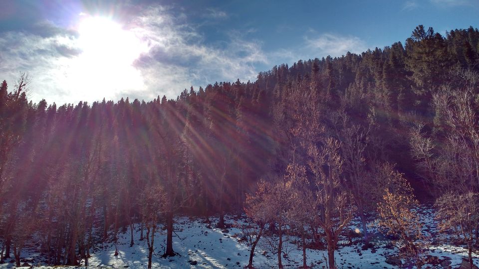 Photo of Here's Everything You Need to Know About The Kedarkantha Trek in Winter 4/10 by Sreshti Verma
